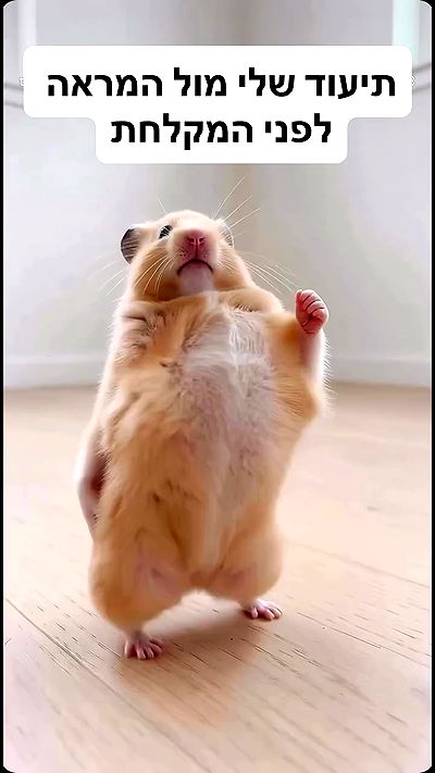 shelly_.mor shelly_.mor archive video