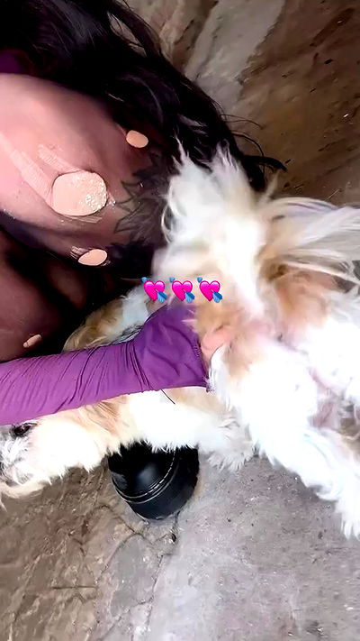 shunli__mei shunli__mei archive video