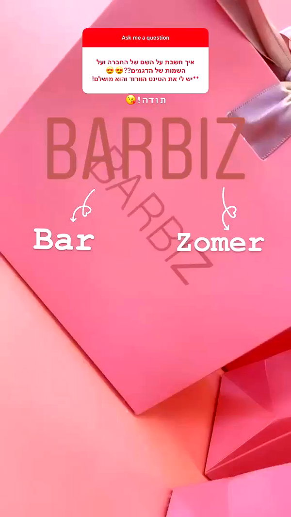 barzomer archive video preview