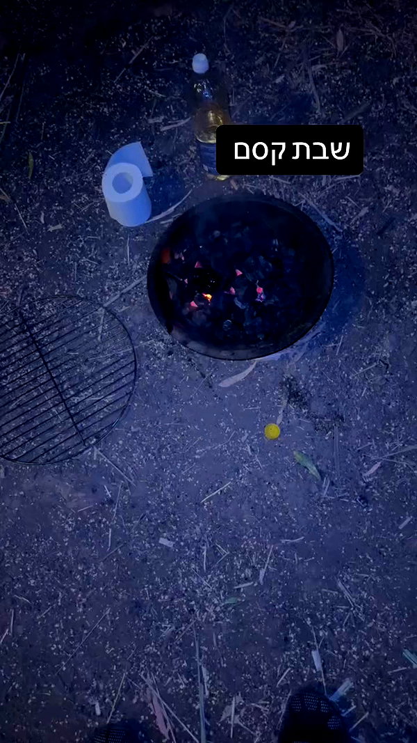 _.shelichka._ archive video preview