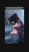 sins_n_stuff Altpins Profile Picture