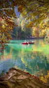 nicole_ac Altpins Profile Picture