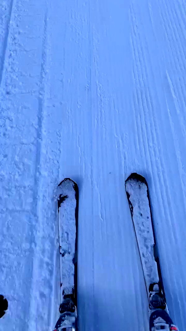 elsgatti archive video preview