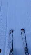 elsgatti Altpins Profile Picture