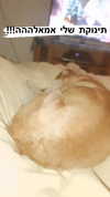 maori_cohen Altpins Profile Picture