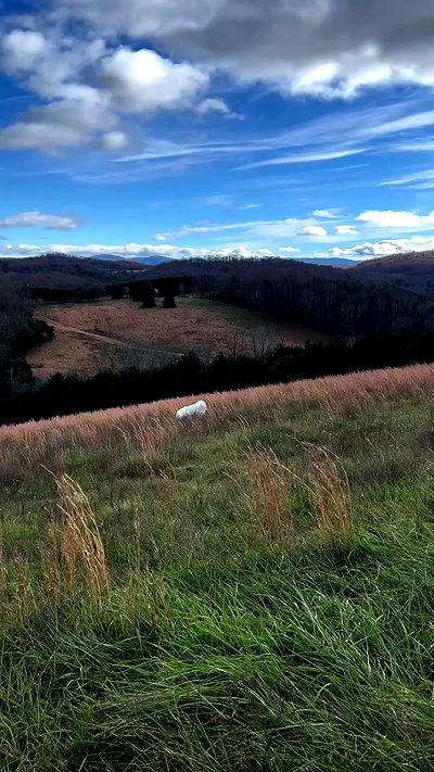 missnyxdawn missnyxdawn archive video