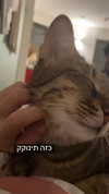 ronyida_ Altpins Profile Picture
