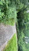 s111y_ccc0nt3 Altpins Profile Picture