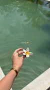 biancanataliie Altpins Profile Picture