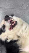 feelbetterinmysweater Altpins Profile Picture