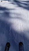 marijana_t__ Altpins Profile Picture