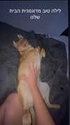 lera.genadenik Altpins Profile Picture