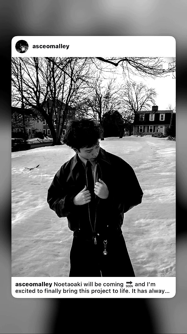 mosssaico archive video preview