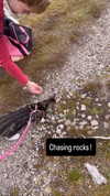 jahia_brown Altpins Profile Picture