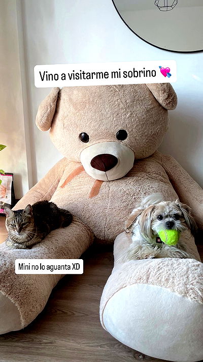 shunli__mei shunli__mei archive video