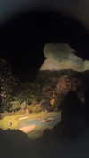 orman.mariee Altpins Profile Picture