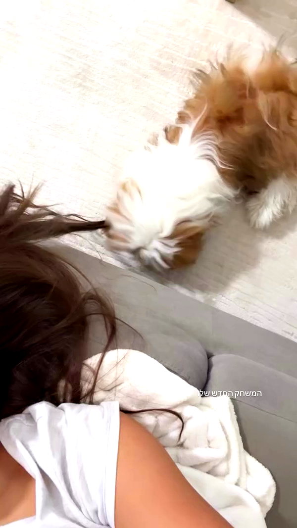 noammalka___ archive video preview