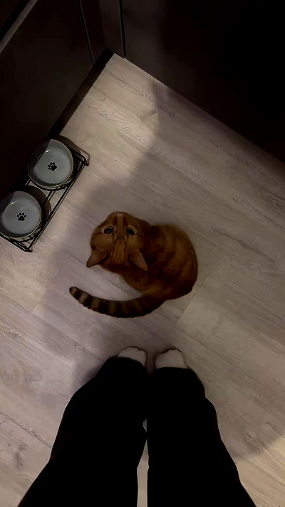 manjolamuriqi manjolamuriqi archive video