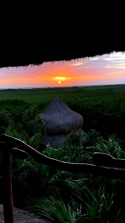 taylor.creeden taylor.creeden archive video