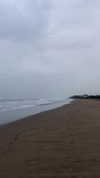 milena_milachich Altpins Profile Picture