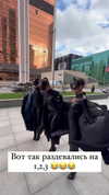 belok_bero Altpins Profile Picture