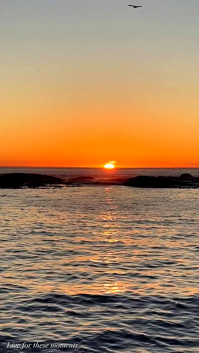 taylor.creeden taylor.creeden archive video