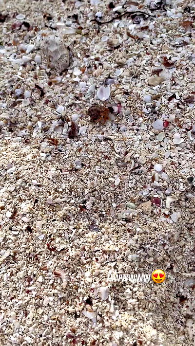 shunli__mei shunli__mei archive video