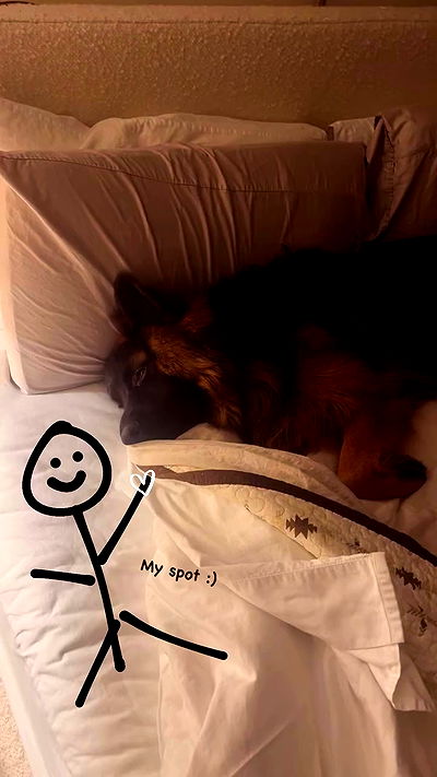 sydney_sweeney sydney_sweeney archive video