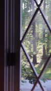 elizabethcampbelljones Altpins Profile Picture