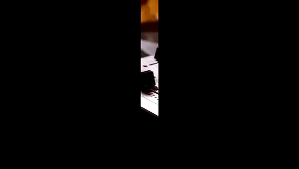 adihimelbloy archive video preview