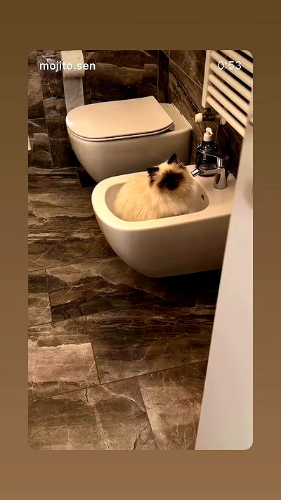 kasumi_sen kasumi_sen archive video