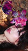 protheme Altpins Profile Picture
