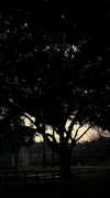 avitallllllllllllllll Altpins Profile Picture