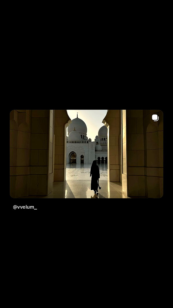vvelum_ archive video preview