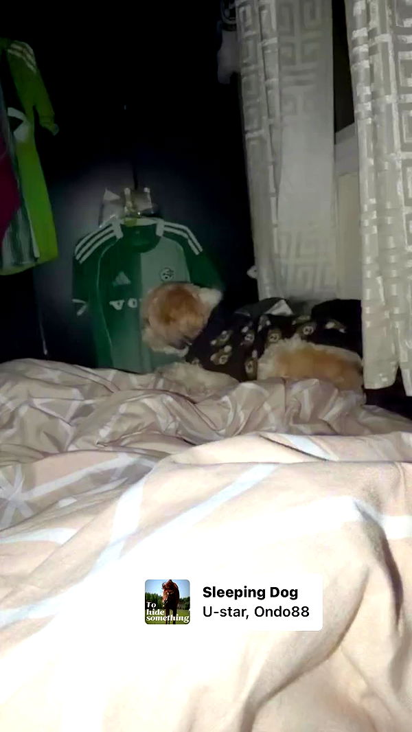 _._dianush._ archive video preview