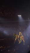 maori_cohen Altpins Profile Picture