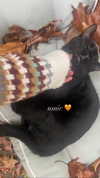 olivia.bolgerr Altpins Profile Picture
