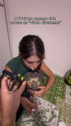 mattiacadinu Altpins Profile Picture