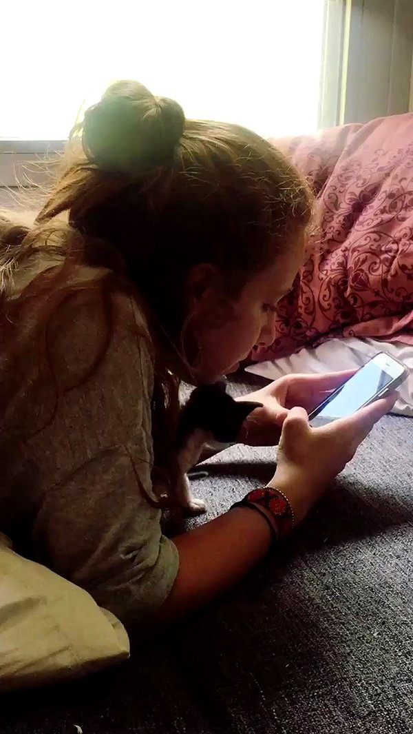 evasela__ archive video preview