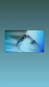darkstar_mia Altpins Profile Picture