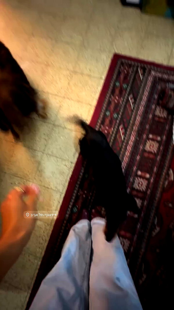 libby_reut archive video preview