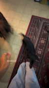 libby_reut Altpins Profile Picture