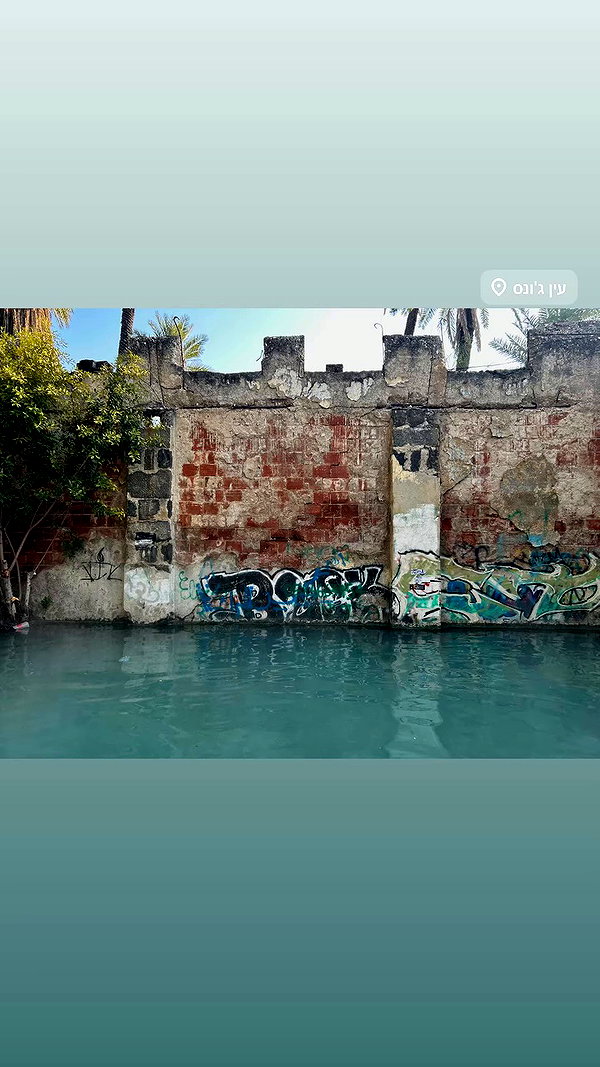 _.shelichka._ archive video preview
