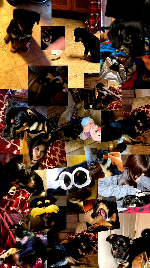 reanidays.cos archive video preview