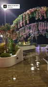 marijana_t__ Altpins Profile Picture