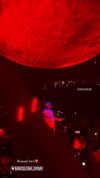 vanessa.rhd Altpins Profile Picture