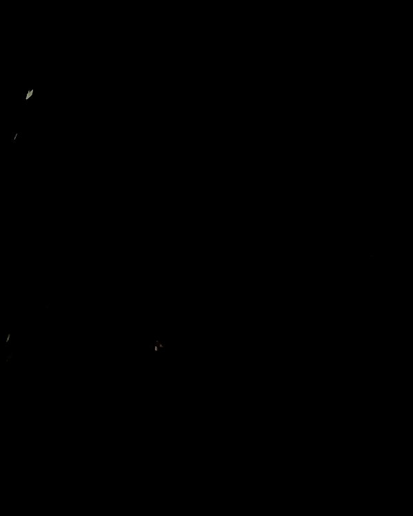 sophadophaa_ archive video preview