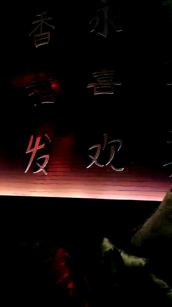 sonia_litvanchuk archive video preview