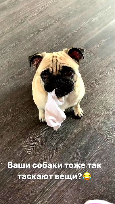 nyityam nyityam archive video