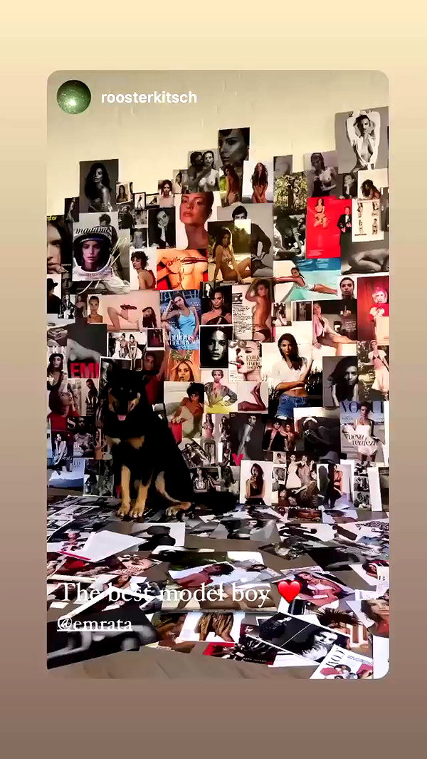 emrata archive video preview